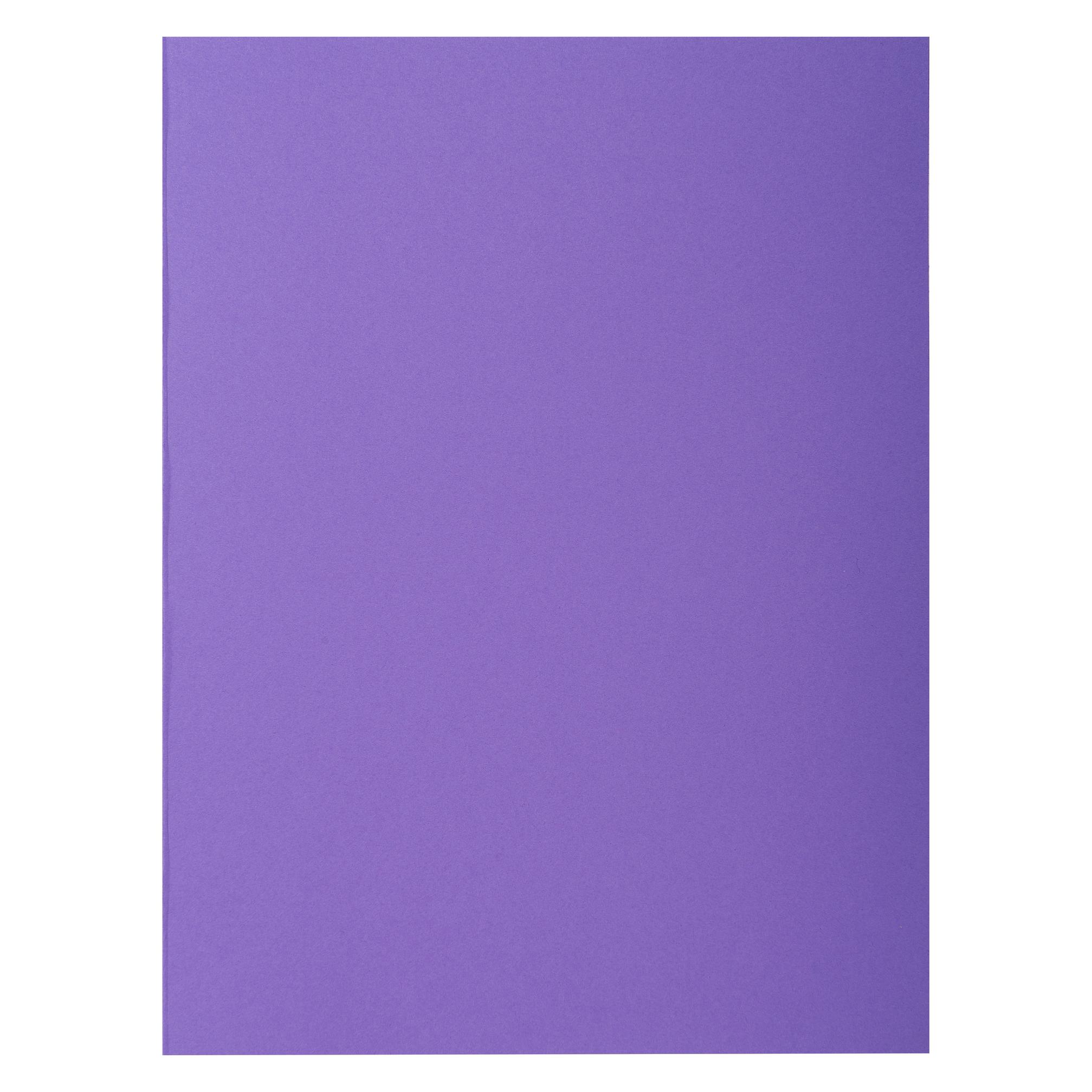 Exacompta Sammelmappen - Aktendeckel (A4) (800008E)