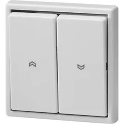 Somfy Wippschalter aws 1800261