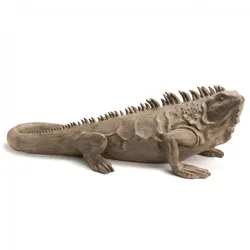 Leguan Colorado 95 cm - Beige Anderes Harz Amadeus 95x37 cm