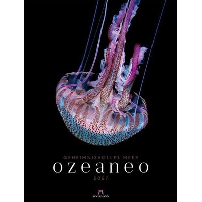 Ozeaneo Kalender 2027 | Geheimnisvolles Meer