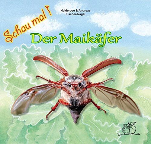 Heiderose Fischer-Nagel - Der Maikäfer (Schau mal!) - Preis vom 13.10.2026 19:28:25 h