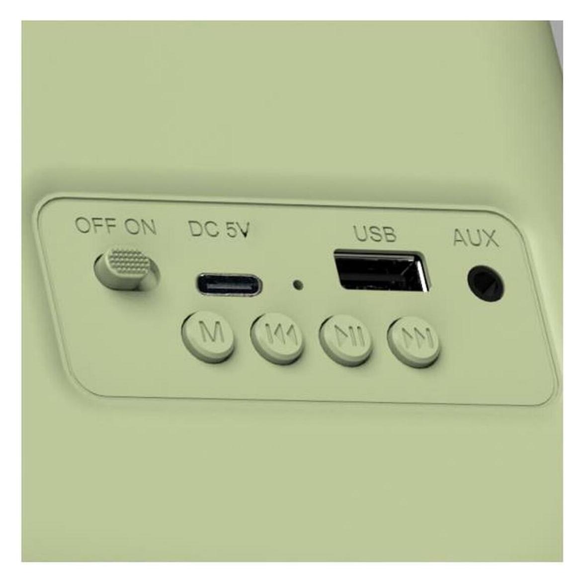 Haeger RB-GRE.001A (FM, Bluetooth) (RB-GRE.001A)