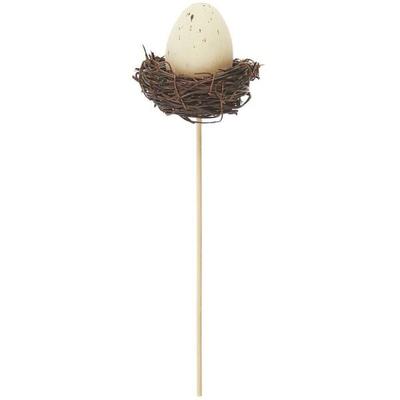 Picker Ei im Nest, Natur