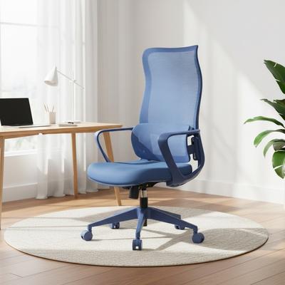 Ergonomic Mesh High Back Office Chair with Lumbar Support, Fireproof