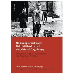 NS-Zwangsarbeit inder Elektrizitätswirtschaft der "Ostmark", 1938-1945, Fachbücher