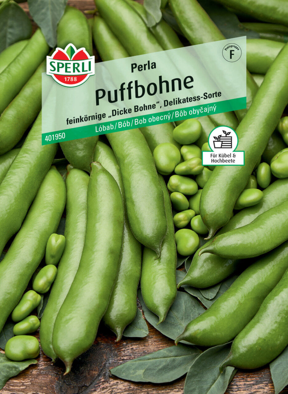 Sperli Puffbohne Perla