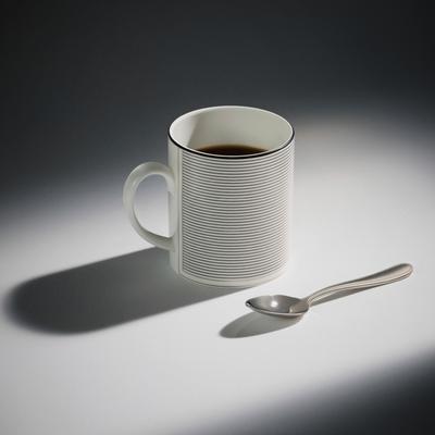 Vera Wang Wedgwood Luxe Graphite Mug 15.5floz