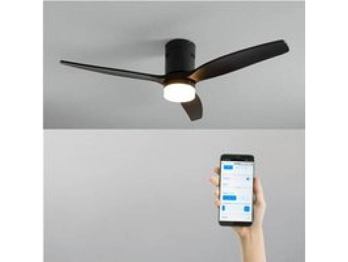 Ventilateur de plafond - Create - WIND CALM NATURAL WOOD - Silencieux - Bois - LED 18W