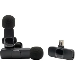 RealPower HS-1,Wireless Microphone,2 Mikrofone,1 Empfänger, Mikrofon
