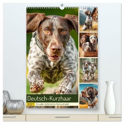 Deutsch-Kurzhaar. Ein edler Gefährte für Feld und Wald (hochwertiger Premium Wandkalender 2027 DIN A2 hoch), Kunstdruck in Hochglanz