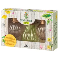 Moses Blatt & Blüte Solar-Lichter 3er Set
