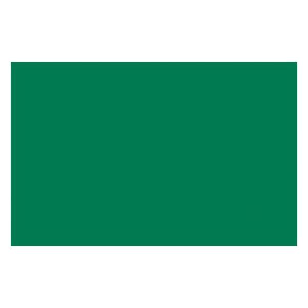 Winsor & Newton Ac Spray 400Ml Emerald Green 0450 (400 ml) (4450450)