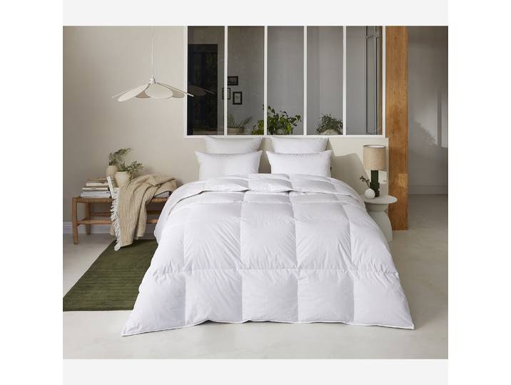 HABITAT - Oreiller medium en duvet et plumettes - 800 g - 65 x 65 cm - Naturelle