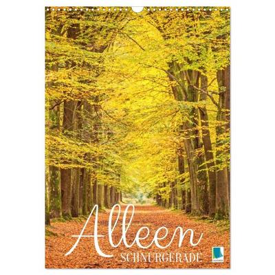 Alleen: Schnurgerade (Wandkalender 2027 DIN A3 hoch), CALVENDO Monatskalender