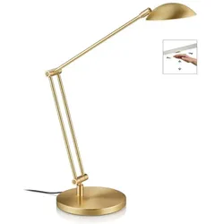 Knapstein Tischleuchte ILSA-T, 10.8W 2700K, CRi >90, mit Gestensteuerung, verstellbar, Messing matt GKS-61.625.03