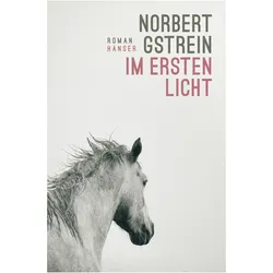 Im ersten Licht, Belletristik von Norbert Gstrein