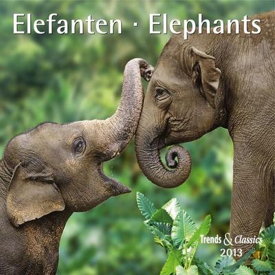Elefanten - T & C-Kalender 2013