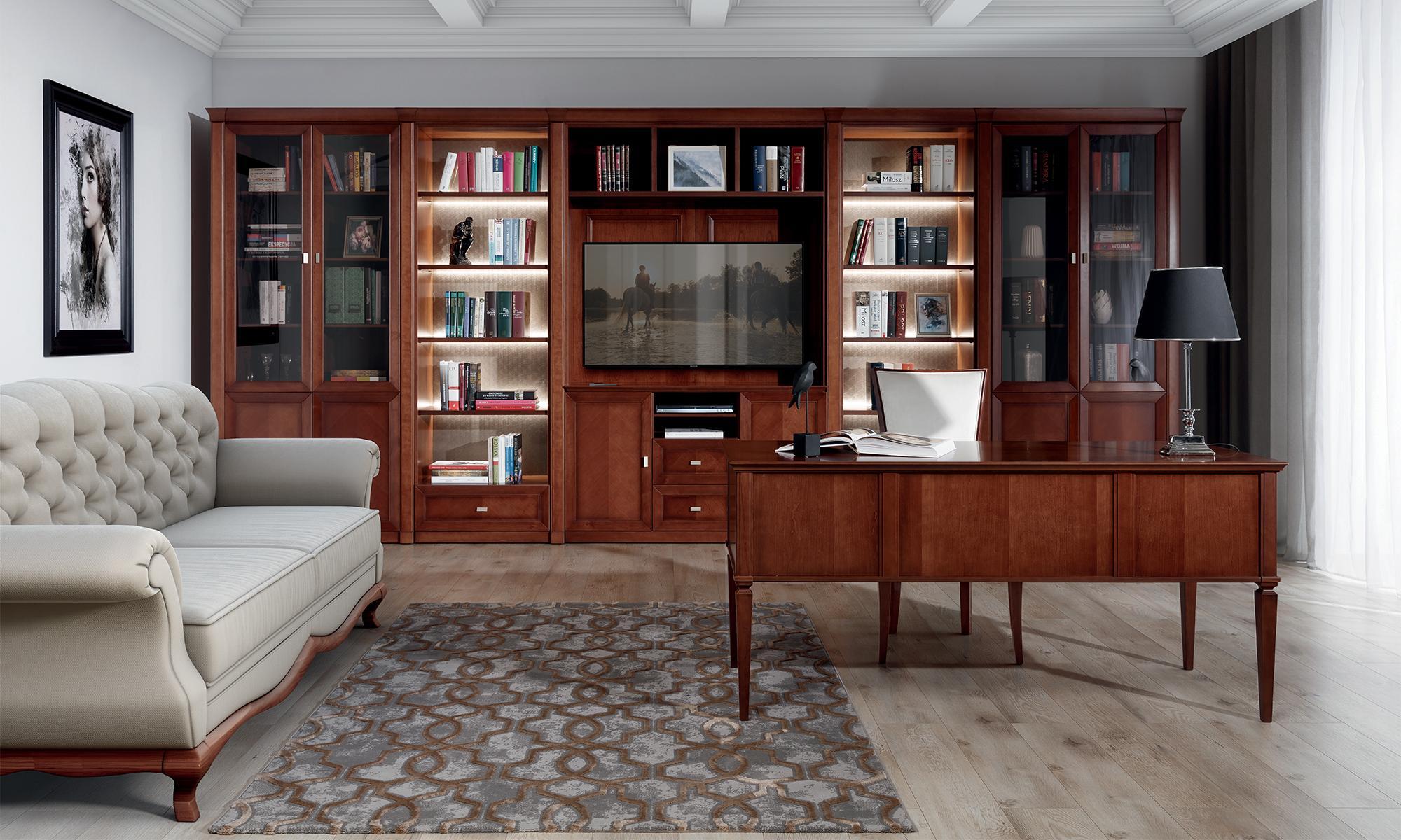 Bücherschrank Schrank Holzschrank Kommode Büro Wand System Regal Möbel Schränke