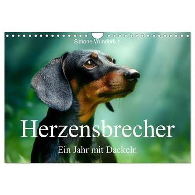 Herzensbrecher - Ein Jahr mit Dackeln (Wandkalender 2027 DIN A4 quer), CALVENDO Monatskalender