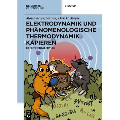 Elektrodynamik und Phänomenologische Thermodynamik Kapieren, Taschenbuch von Matthias Zschornak,Dirk C. Meyer, De Gruyter, 978-3-11-133145-4