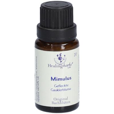 Bachblüten Mimulus Globuli Healing Herbs 15 g