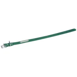 Martin Sellier Halsband für Hunde aus Leder mit Krottendruck (Hund, Allgemein, Spazieren), Halsband + Leine