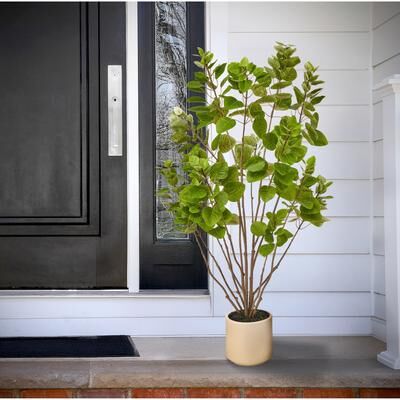 Regency International 4' UV Potted Smoke Tree