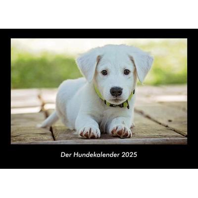 Der Hundekalender 2025 Fotokalender DIN A3
