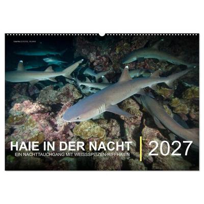 Haie in der Nacht (Wandkalender 2027 DIN A2 quer), CALVENDO Monatskalender