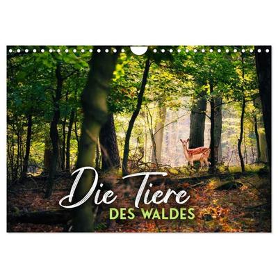 Die Tiere des Waldes (Wandkalender 2027 DIN A4 quer), CALVENDO Monatskalender