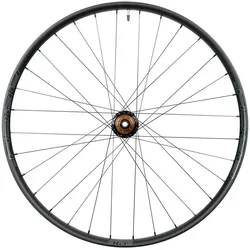 Stan's NoTubes Laufrad ARCH MK4 29 Zoll Hinterrad schwarz/grau