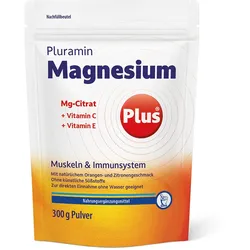 PLURAMIN Magnesium plus Pulver Nachfüllbtl. 300 g