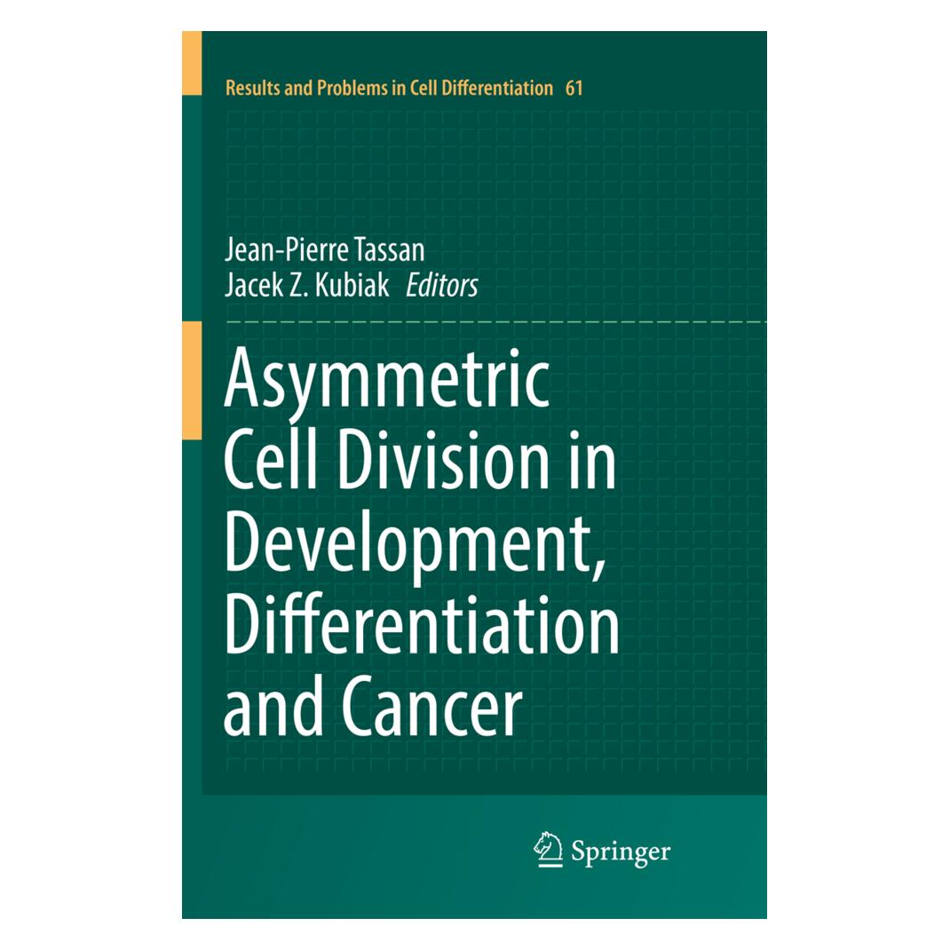 Springer Asymmetric Cell Division in Development, Differentiation and Cancer (Englisch, Softcover, Jacek Z. Kubiak, Jean-Pierre Tassan) (56004719)