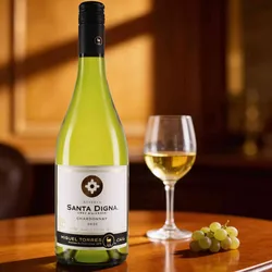 Torres 2022 Torres Santag Digna Chardonnay Reserve 2022 Chardonnay Chile