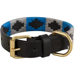 BR Equestrian Equipment Halsband aus Leder für Hunde (L, Hund, Allgemein), Halsband + Leine