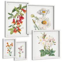 BILDER SET 5er Set - 50x50 cm & 20x30 cm & 40x60 cm Weißer Rahmen - Blumenmalerei im Retro-Stil
