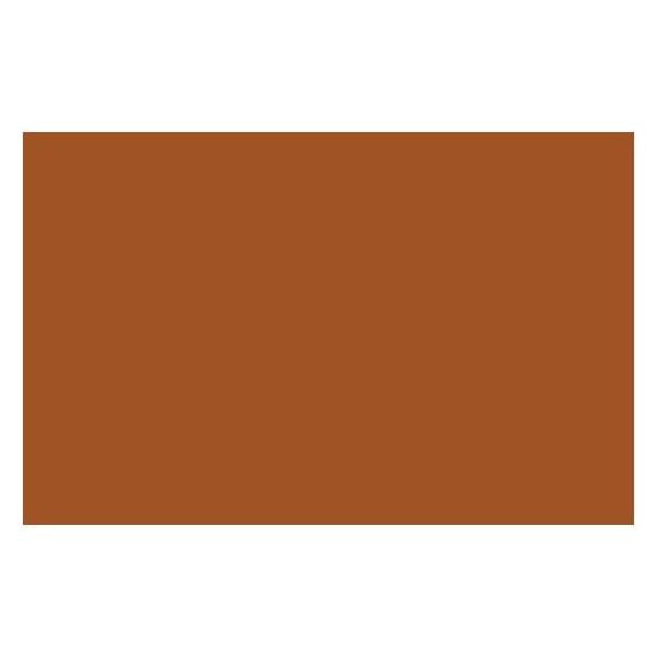 Winsor & Newton Ac Spray 400Ml Raw Sienna 0330 (4450330)