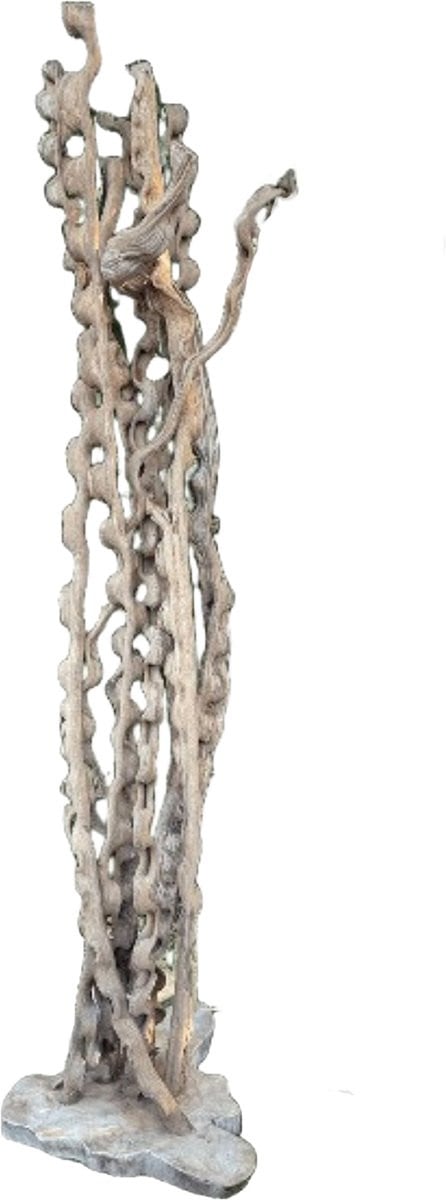 PTMD Ridde Natural Organic Snake Wood Statue voor volwassenen