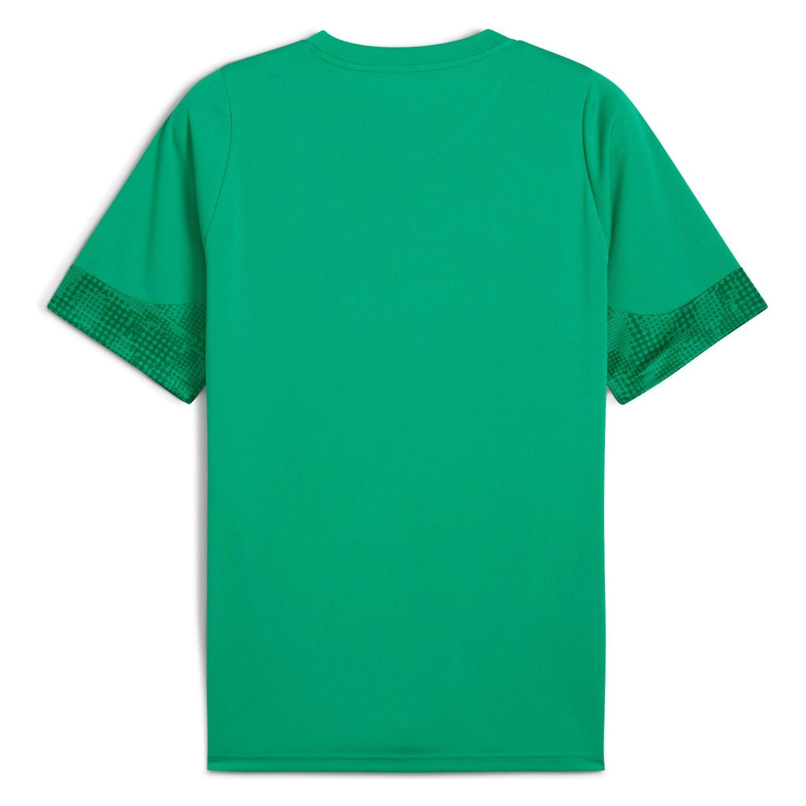 Puma teamCUP Training Jersey (XXL) (659167)