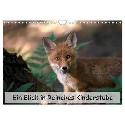 Ein Blick in Reinekes Kinderstube (Wandkalender 2026 DIN A4 quer), CALVENDO Monatskalender
