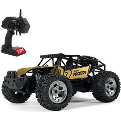 MGM Buggy Adventure Elite Rider