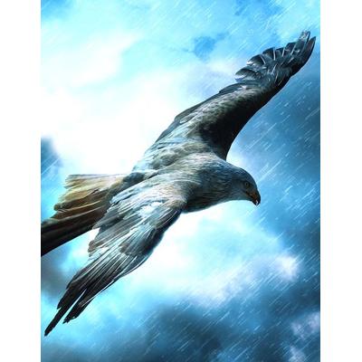 Fantasy Notizbuch: Adler im Sturm - weiße Seiten mit Eckmotiv, Taschenbuch von Samuriel Sternenfeuer, Arthanan Verlag, 978-3-945376-58-4