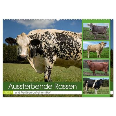 Aussterbende Rassen und Raritäten (Wandkalender 2027 DIN A2 quer), CALVENDO Monatskalender