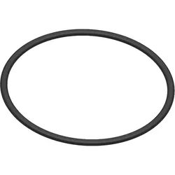 O-Ring für Ölfilter - 8738807800