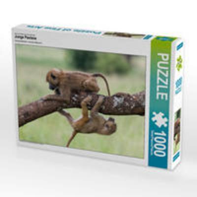 CALVENDO Puzzle Junge Paviane | 1000 Teile Lege-Größe 64x48cm Foto-Puzzle für glückliche Stunden