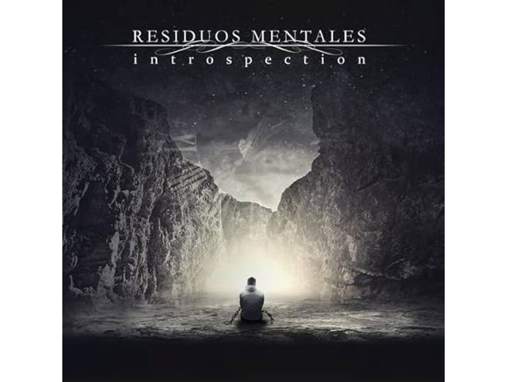 Introspection (reissue)