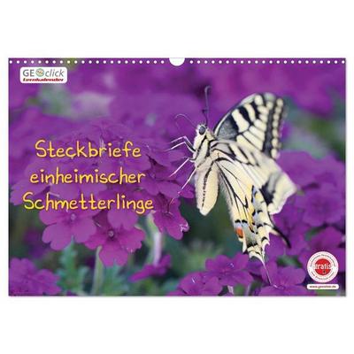 GEOclick Lernkalender: Steckbriefe einheimischer Schmetterlinge (Wandkalender 2027 DIN A3 quer), CALVENDO Monatskalender