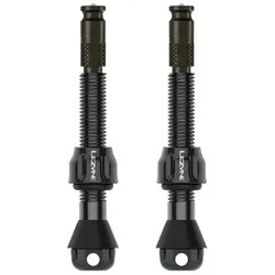 LEZYNE Tubeless Ventil Clik Pro TLR Paar 44 mm | schwarz