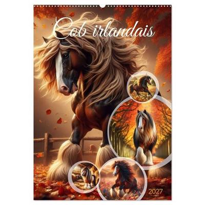 Cob irlandais (Calendrier mural 2027 DIN A2 horizontal), CALVENDO calendrier mensuel