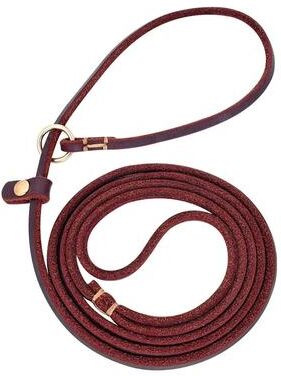 Uplift Picks Leather Dog Leash With Slip Chain Collar For Small Dogs 4ft And 5ft Lengths red 155 Cm